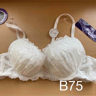 ブラジャー単品B75(4)ドゥレリア(ブラ)