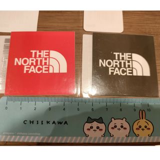 ザノースフェイス(THE NORTH FACE)のTHE NORTH FACE ザ・ノース・フェイス TNF SQUARE LOG(その他)