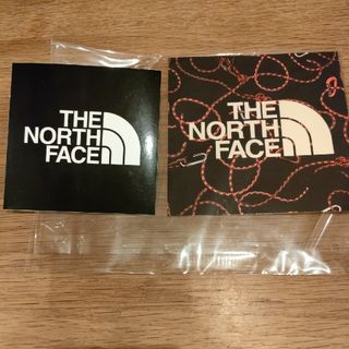 ザノースフェイス(THE NORTH FACE)のTHE NORTH FACE ザ・ノース・フェイス TNF PRINT STIC(アクセサリー)