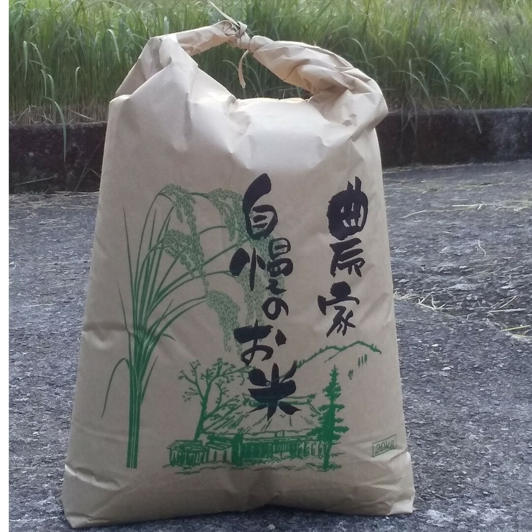 食品/飲料/酒令和5年度 大分県産 ヒノヒカリ 玄米20kg