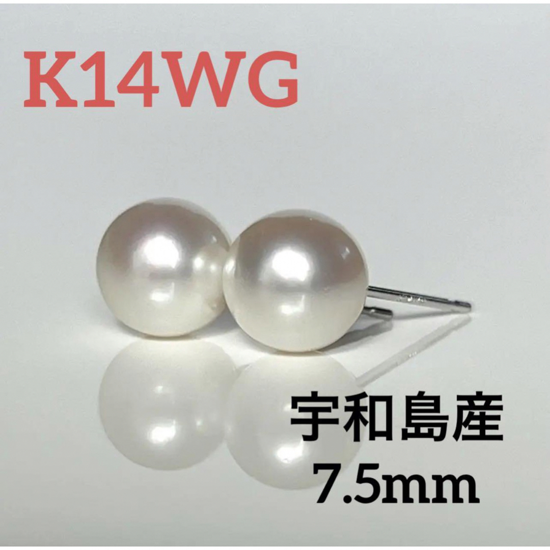 ナチュレル感謝特価！　新品  K14WG  7.5mm  宇和島産　あこや真珠  ピアス