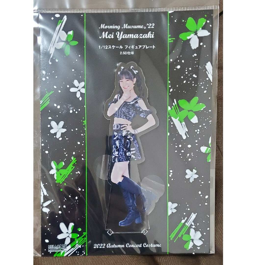 モーニング娘。(モーニングムスメ)の1/12スケールフィギュアプレート 山﨑愛生 エンタメ/ホビーのタレントグッズ(アイドルグッズ)の商品写真