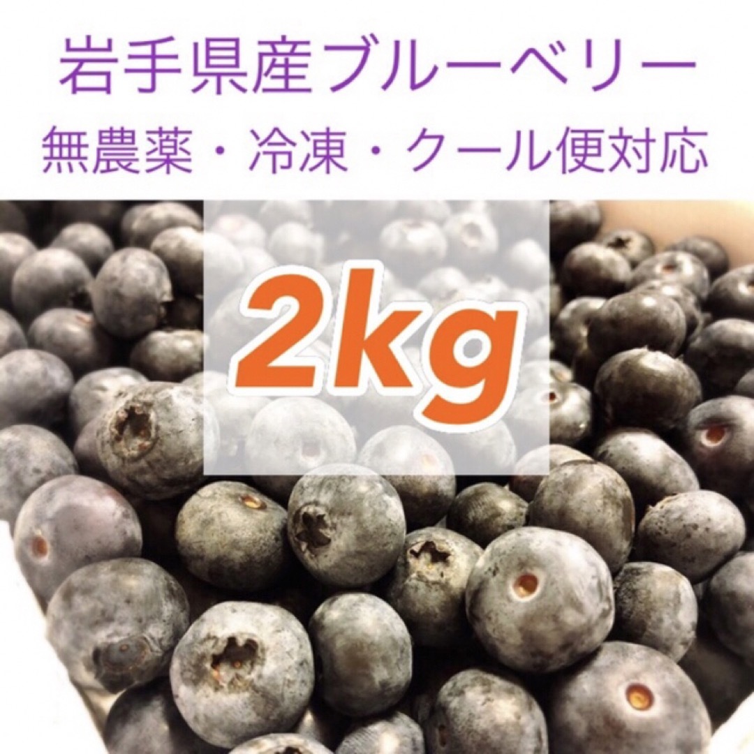 岩手県産ブルーベリー冷凍2kg【無農薬】 食品/飲料/酒の食品(フルーツ)の商品写真