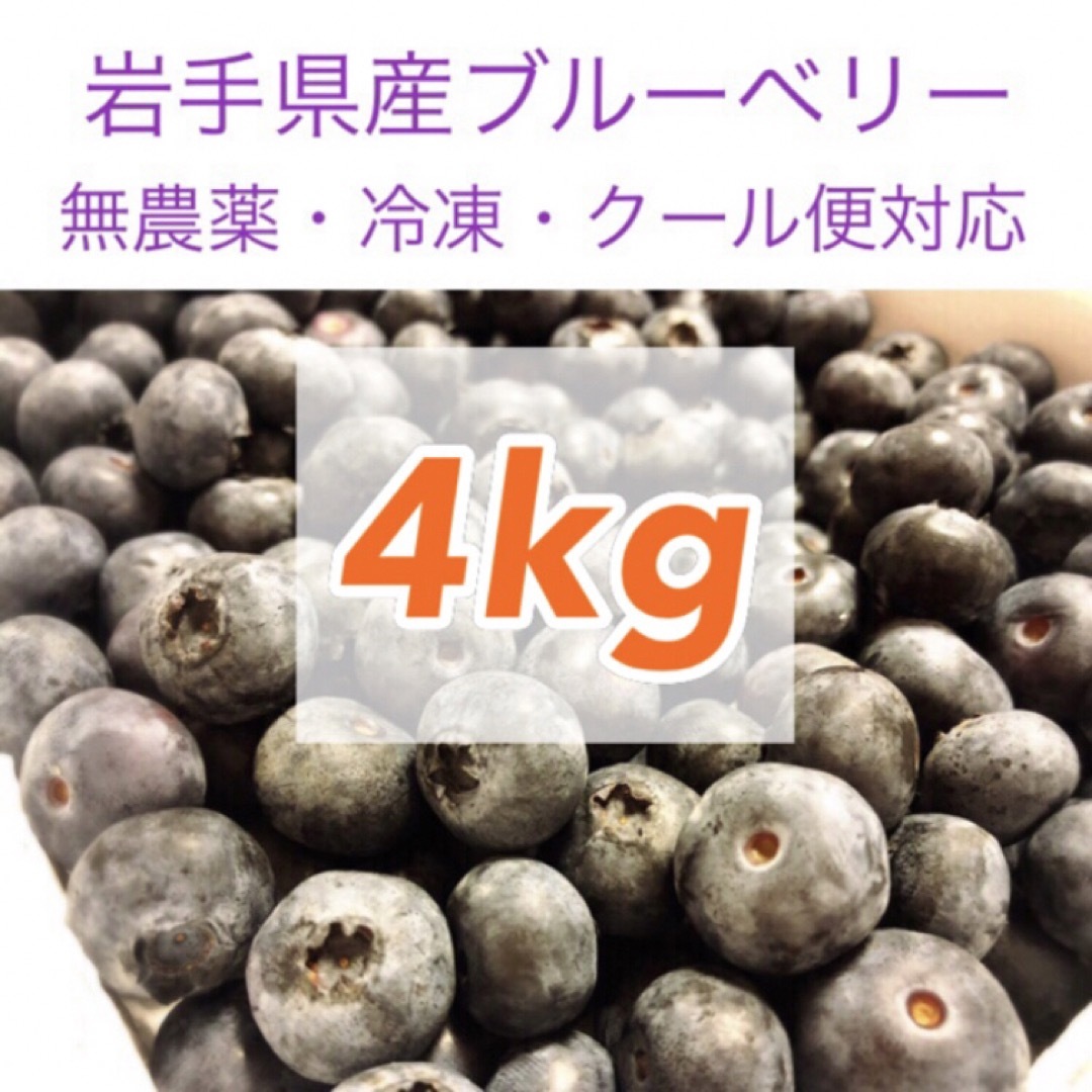 岩手県産ブルーベリー冷凍4kg【無農薬】食品/飲料/酒