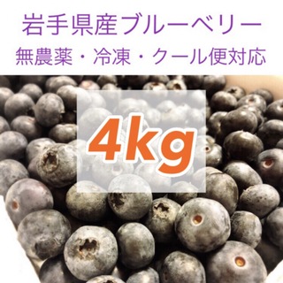 岩手県産ブルーベリー冷凍4kg【無農薬】(フルーツ)