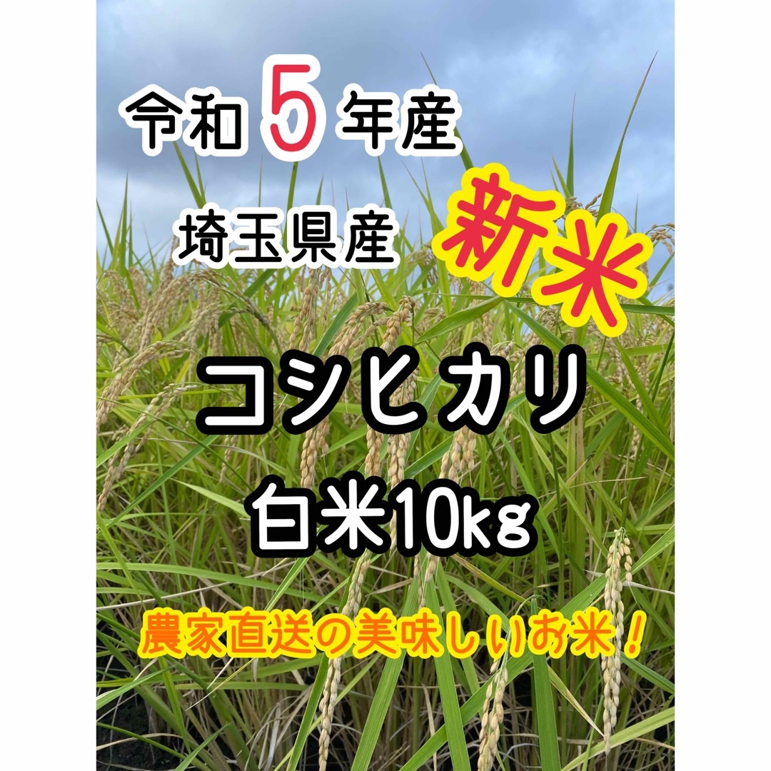 新米☆白米10kg】農家直送！美味しいお米！埼玉県産コシヒカリ！の通販　shop｜ラクマ　by　MIYA's