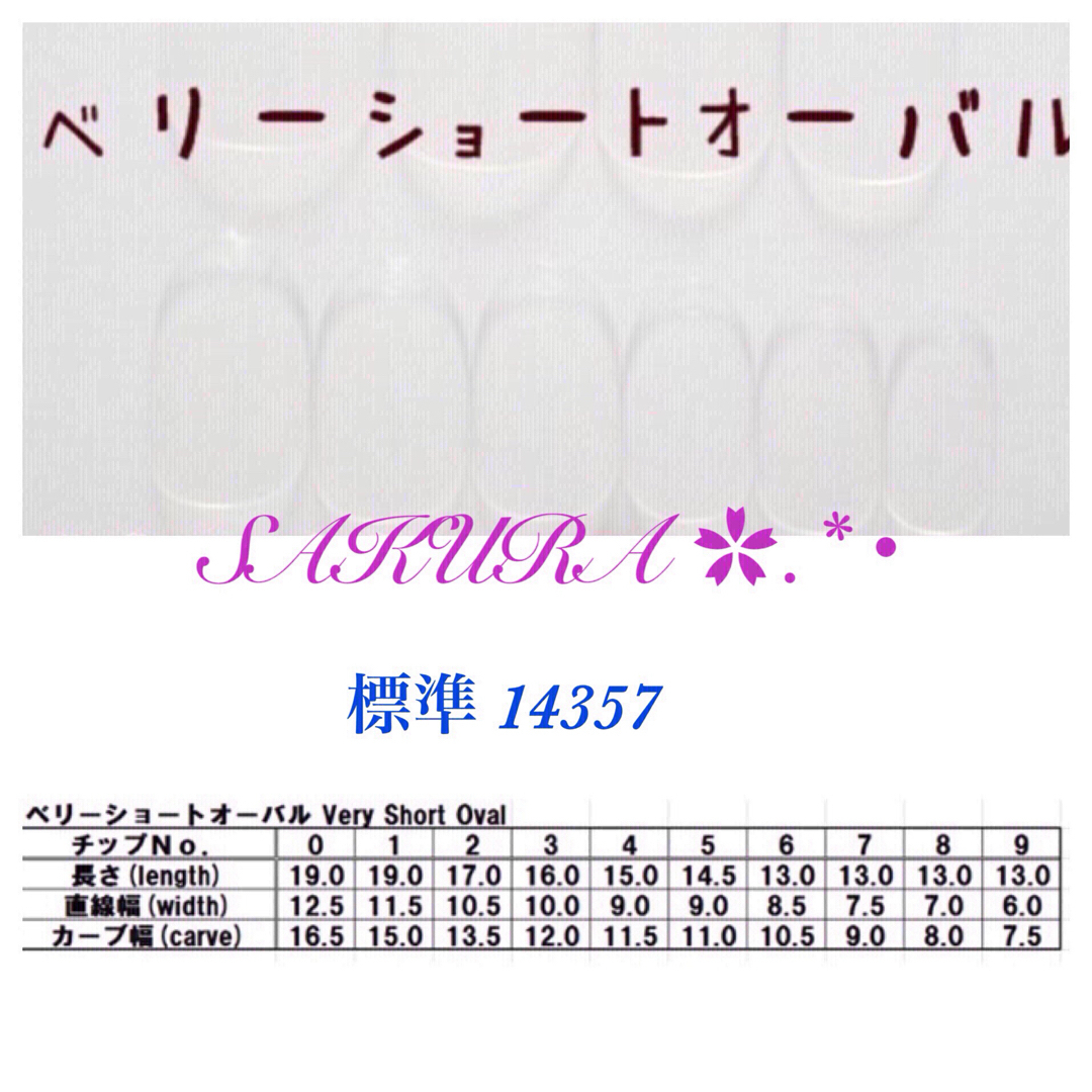 ネイルチップ Q97 コスメ/美容のネイル(つけ爪/ネイルチップ)の商品写真