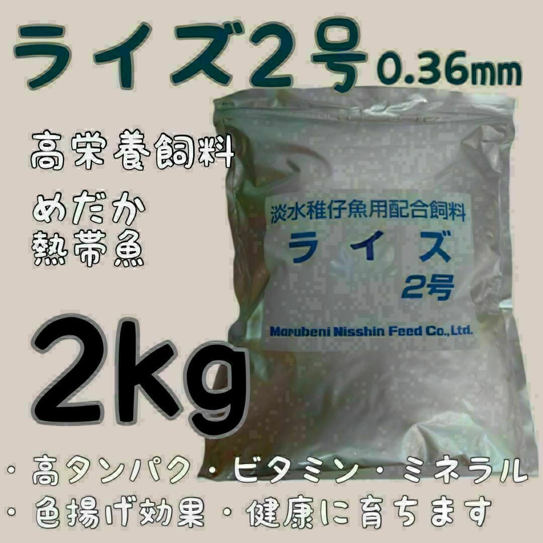 高栄養飼料メダカ餌 ライズ2号 2kg アクアリウム 熱帯魚　グッピー