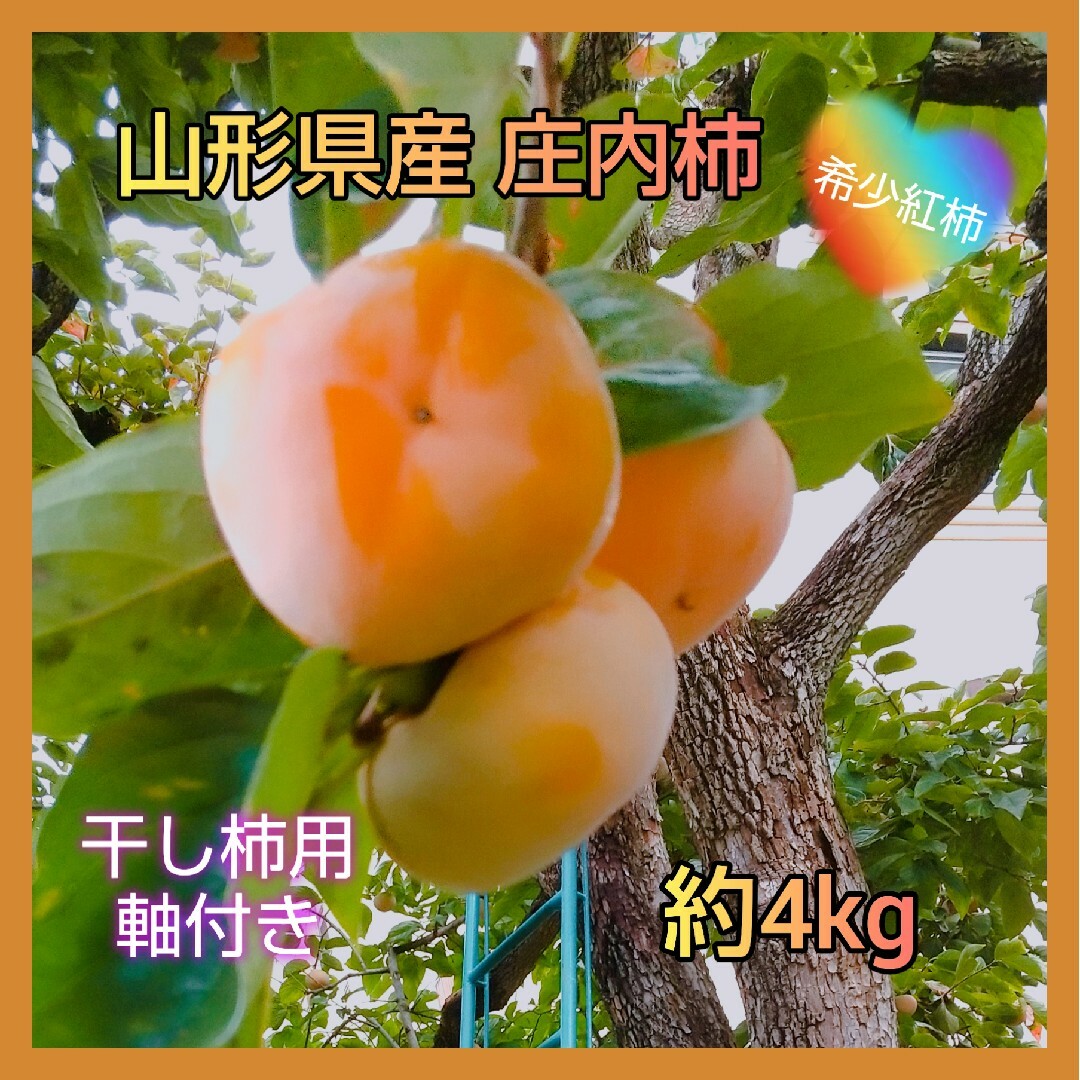 青森県産☆渋柿　干し柿用　約４kg