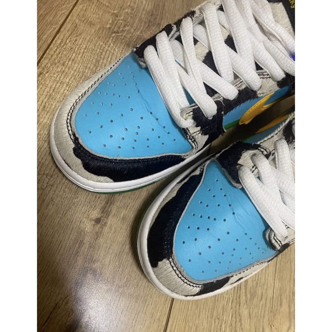 希少 NIKE SB DUNK CHUNKYDUNKY 23.5cm