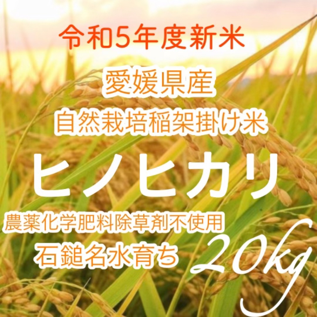 令和5年度新米★  自然栽培ヒノヒカリ20㌔　愛媛県産