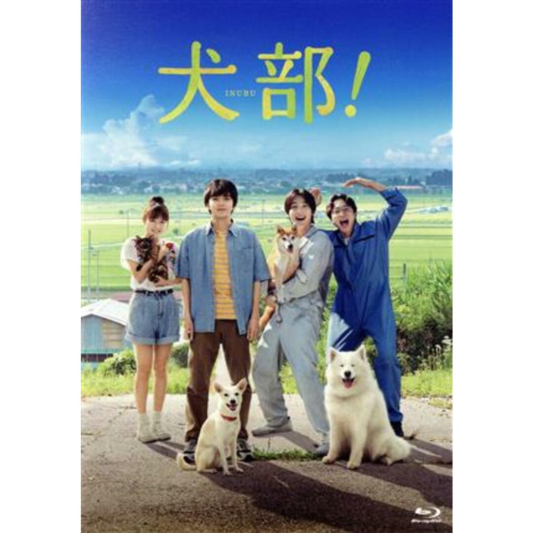 犬部！（豪華版）（Ｂｌｕ－ｒａｙ　Ｄｉｓｃ）