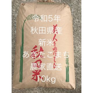 令和5年 新米 秋田県湯沢市産あきたこまち 10kg 玄米　農家直送(米/穀物)