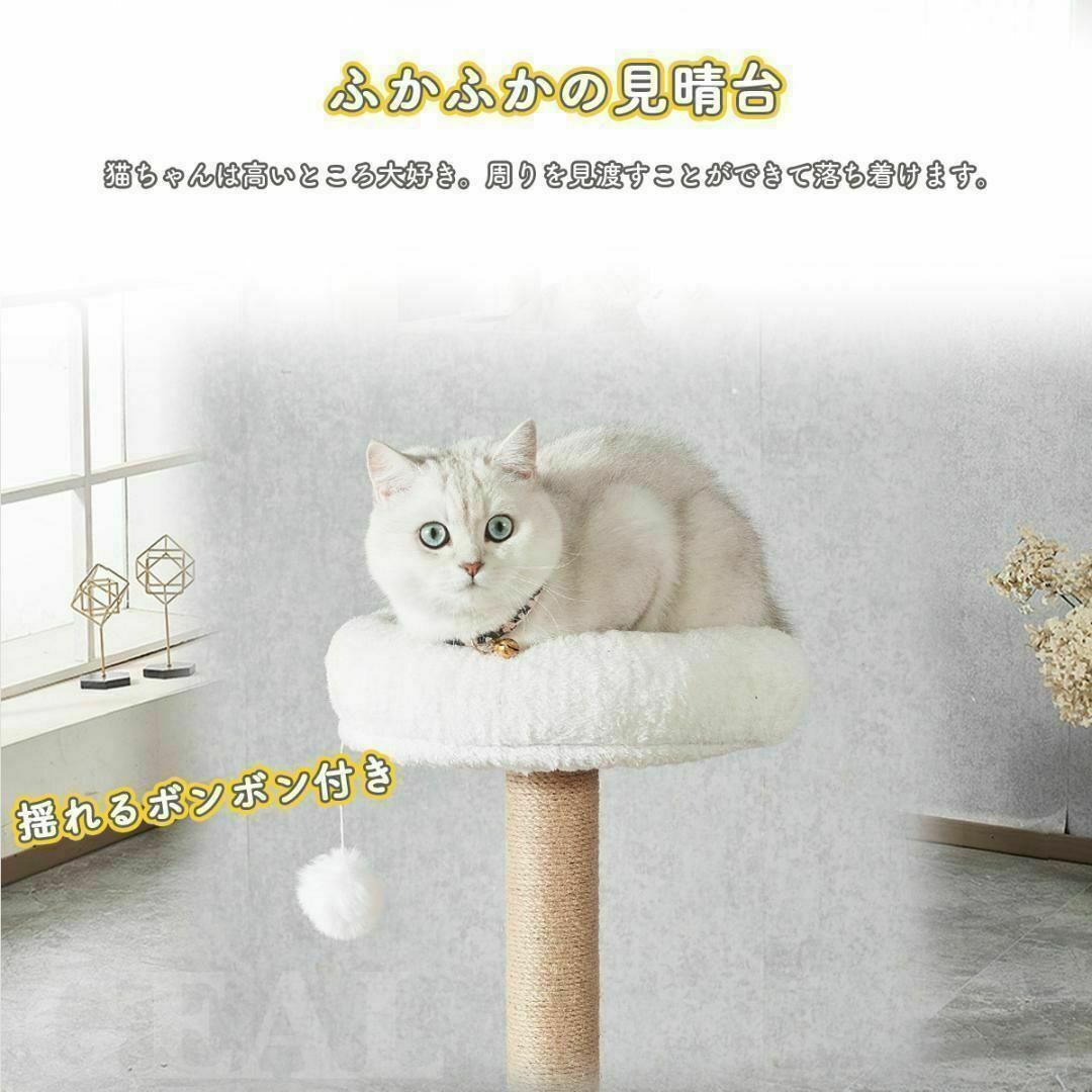 キャットタワー 据え置き型 142㎝ 木製 クリアボウル 猫タワー 隠れ家