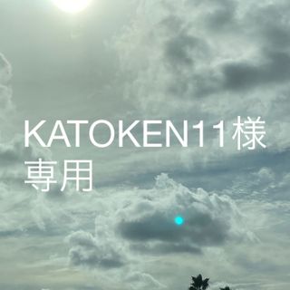 KATOKEN11様専用(その他)