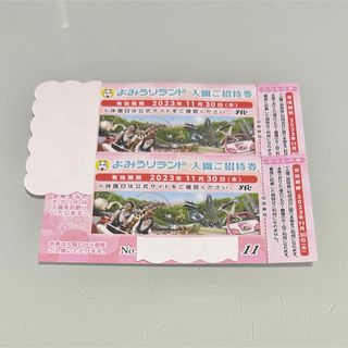 即日発送♡よみうりランド 入園ご招待券  チケット 11/30まで 2枚(遊園地/テーマパーク)