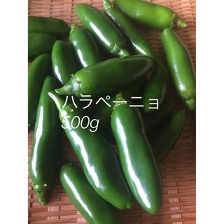 ハラペーニョ　500g (その他)