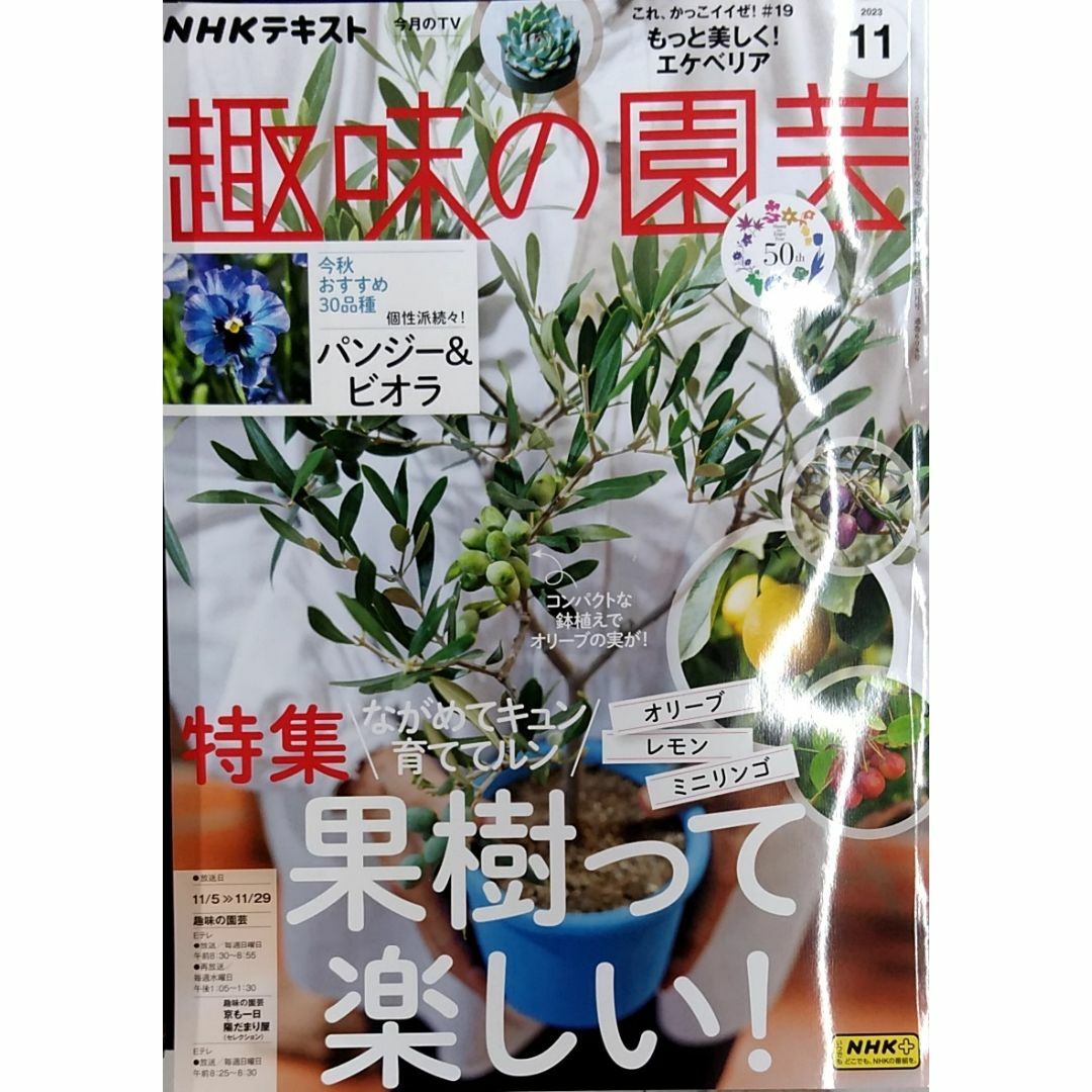 完全新品　2023年11月号の通販　たや's　NHKテキスト趣味の園芸　by　shop｜ラクマ