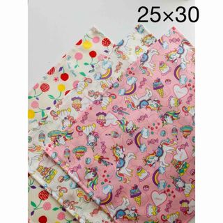 保育園幼稚園ランチョンマット25×30 3枚(外出用品)