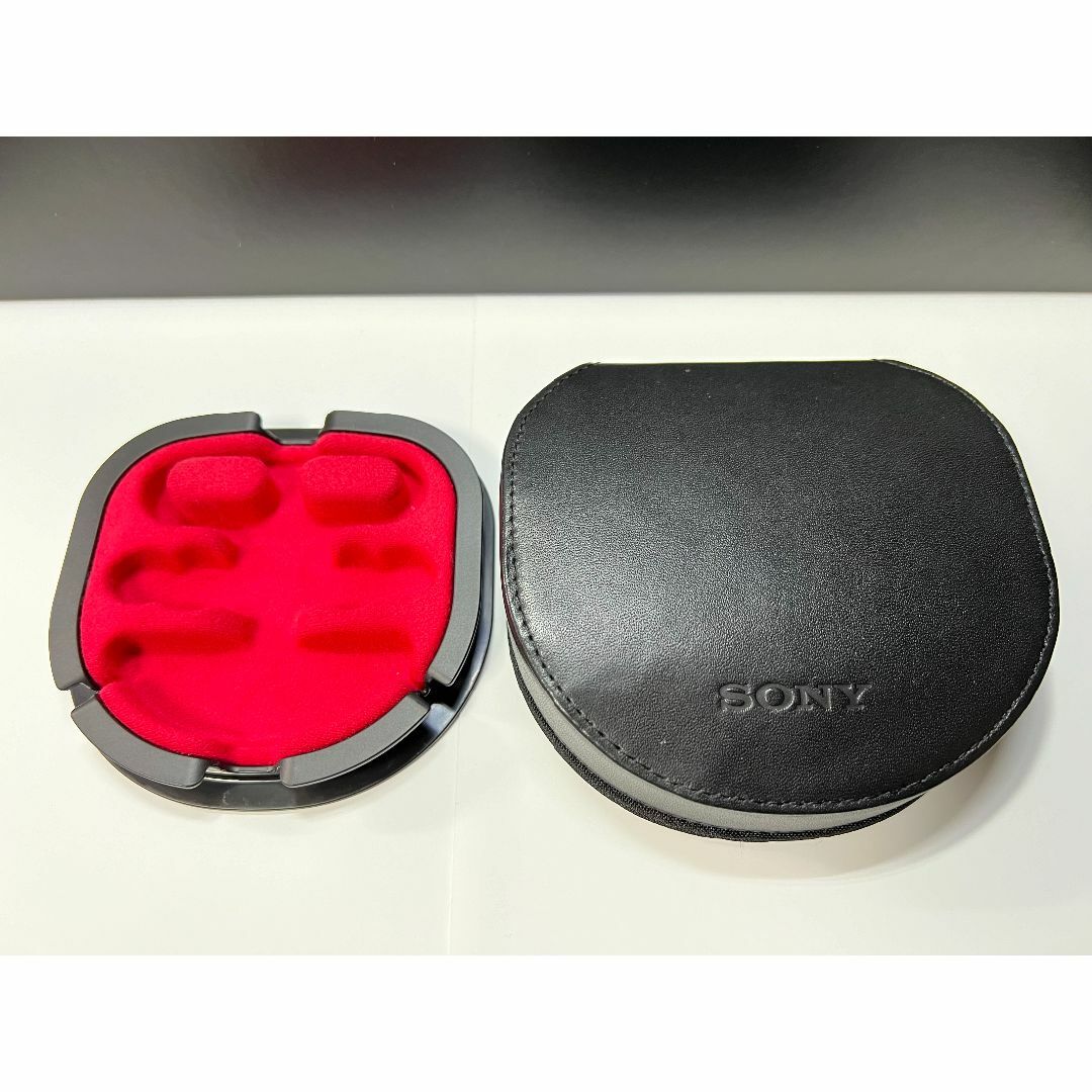 SONY MDR-EX1000 イヤホン 2