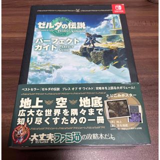 ニンテンドースイッチ(Nintendo Switch)のゼルダの伝説 ティアーズ オブ ザ キングダム パーフェクトガイド(その他)