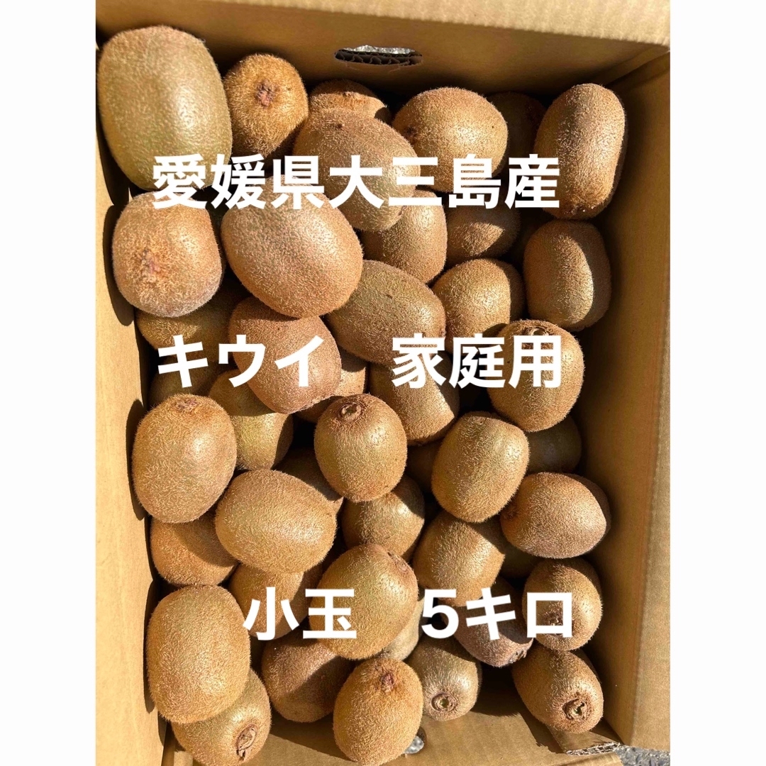しまなみ大三島産　グリーンキウイ　小玉5キロ 食品/飲料/酒の食品(フルーツ)の商品写真