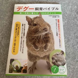 デグー　飼育本(小動物)