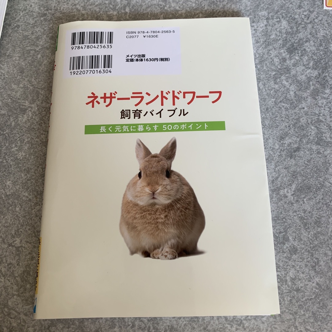 ネザーランドドワーフ　飼育本 その他のペット用品(小動物)の商品写真