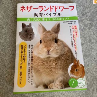 ネザーランドドワーフ　飼育本(小動物)