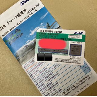 エーエヌエー(ゼンニッポンクウユ)(ANA(全日本空輸))のANA株主優待券　ANAグループ優待券パンフレット付き(その他)