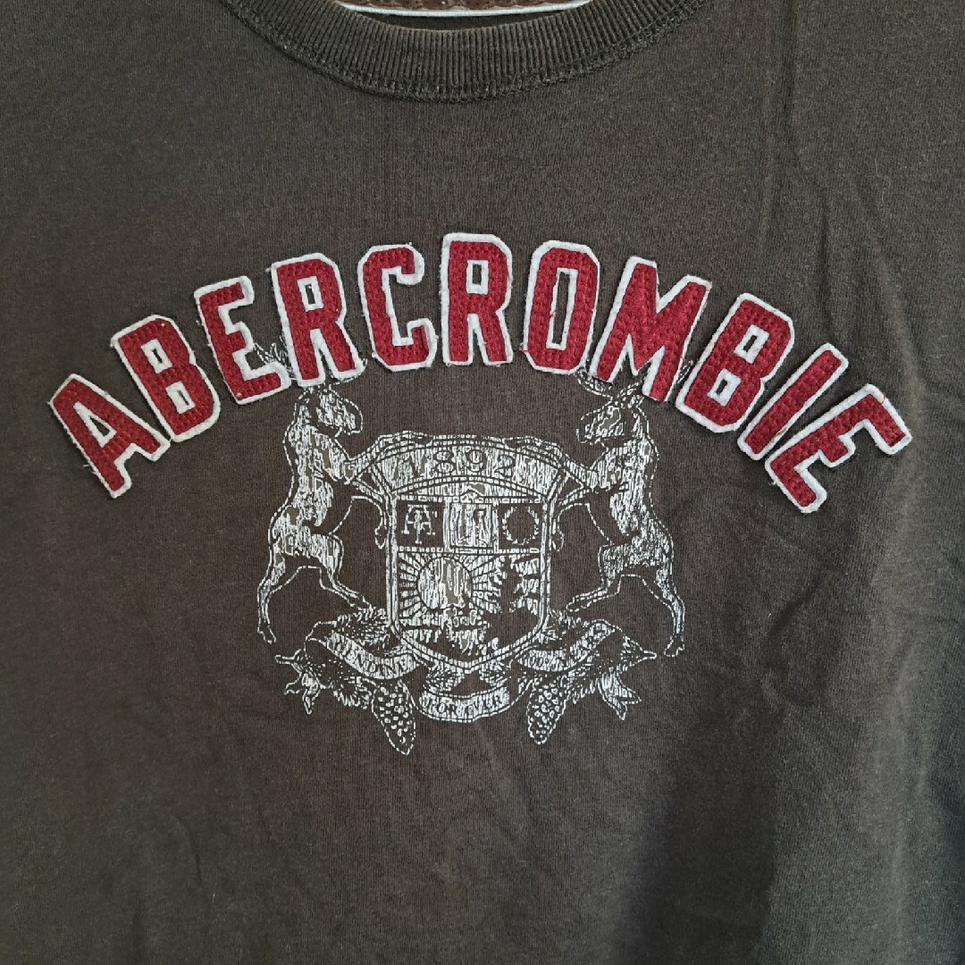 Abercrombie&Fitch(アバクロンビーアンドフィッチ)の半袖Tシャツ　Abercrombie&Fitch メンズのトップス(Tシャツ/カットソー(半袖/袖なし))の商品写真