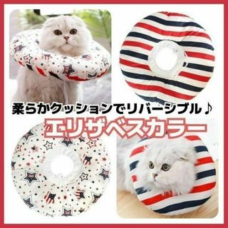 ELMO エルモキャットフード ヘアボール 6kg(2kg×3)毛玉配慮-letion.org