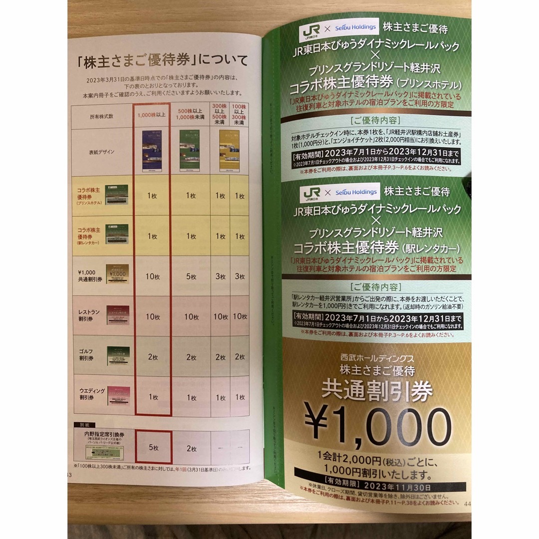 埼玉西武ライオンズ - 西武ホールディングス 西武株主優待 共通割引券
