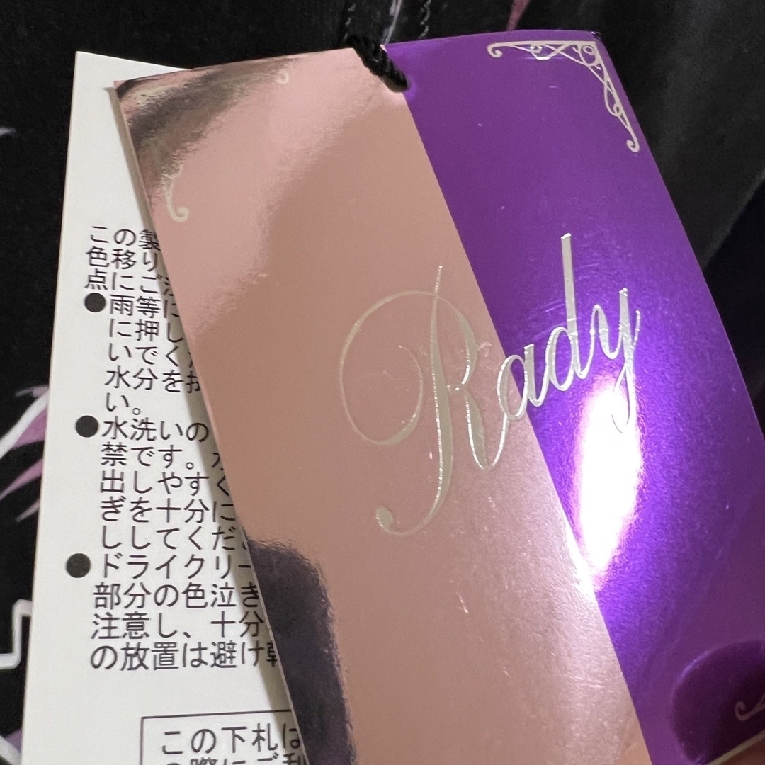 Rady(レディー)のRedyパーカー メンズのトップス(パーカー)の商品写真