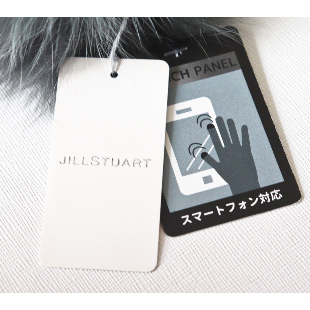JILLSTUART(ジルスチュアート)の《ジルスチュアート》新品 タッチパネル対応 カシミヤ混 ウール手袋 21~22 レディースのファッション小物(手袋)の商品写真