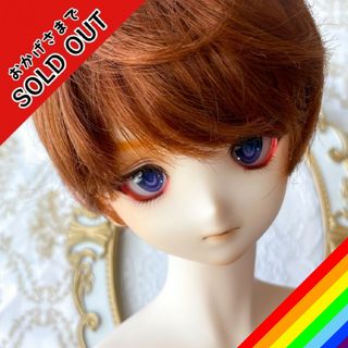 ボークス(VOLKS)のDDH-06 レジン盛り セミホワイト(人形)