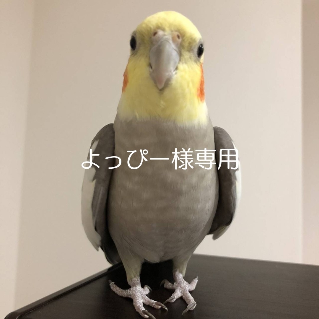 よっぴー様専用の通販 by Nail's shop|ラクマ