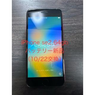 アイフォーン(iPhone)の【バッテリー新品交換済み】iPhoneSE第2世代64GB SIMフリー　本体(携帯電話本体)