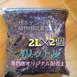 大人気専門店オリジナル培養土2L✕2個セット☆農家産サボテン・多肉植物用培養土♪(プランター)