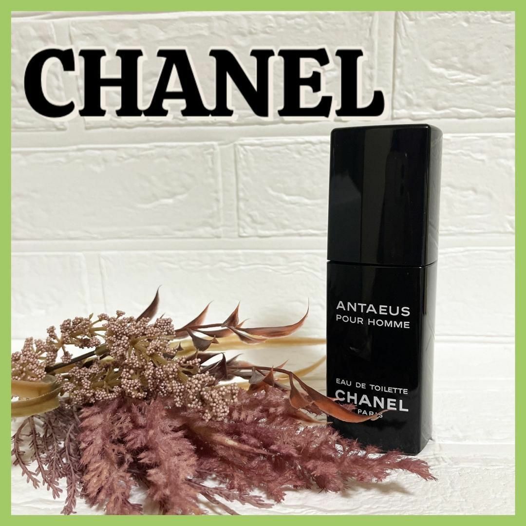 CHANELシャネル アンテウス 100ml