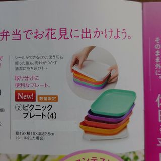 タッパーウェア(TupperwareBrands)のタッパーウェア ピクニックプレート(4)(弁当用品)