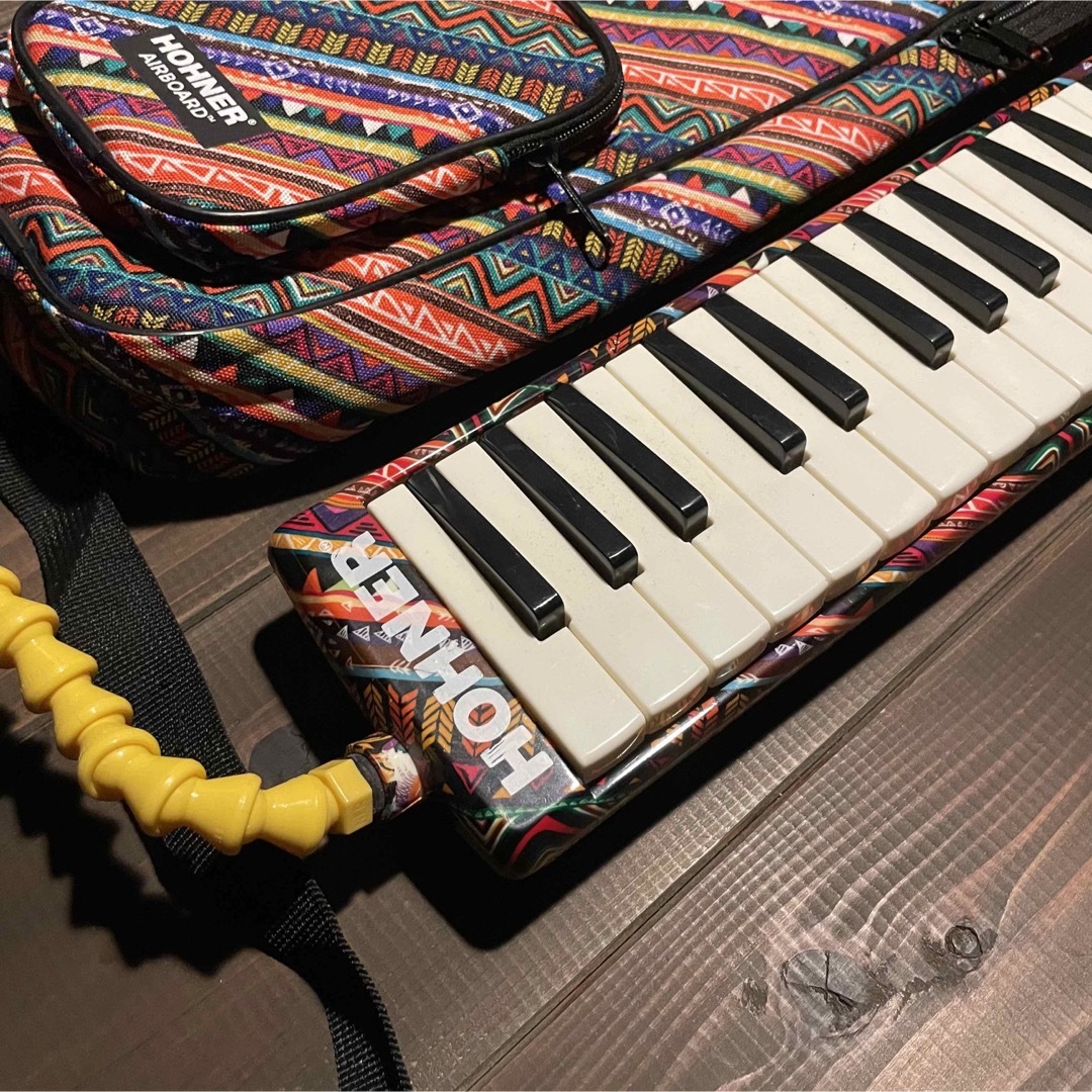 HOHNER 鍵盤ハーモニカ ケース付き 楽器の楽器 その他(ハーモニカ/ブルースハープ)の商品写真