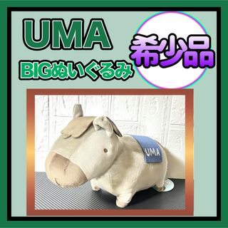 新品　ジェリーキャット　コンカー　トチの実　栗　毬栗　イガグリ　果物　ぬいぐるみ