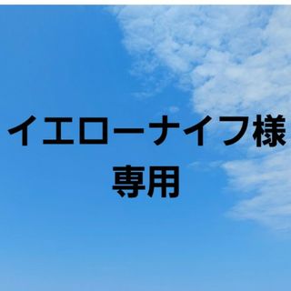 イエローナイフ様専用(カトラリー/箸)