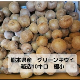 熊本県産　グリーンキウイ　箱込10キロ　極小(フルーツ)