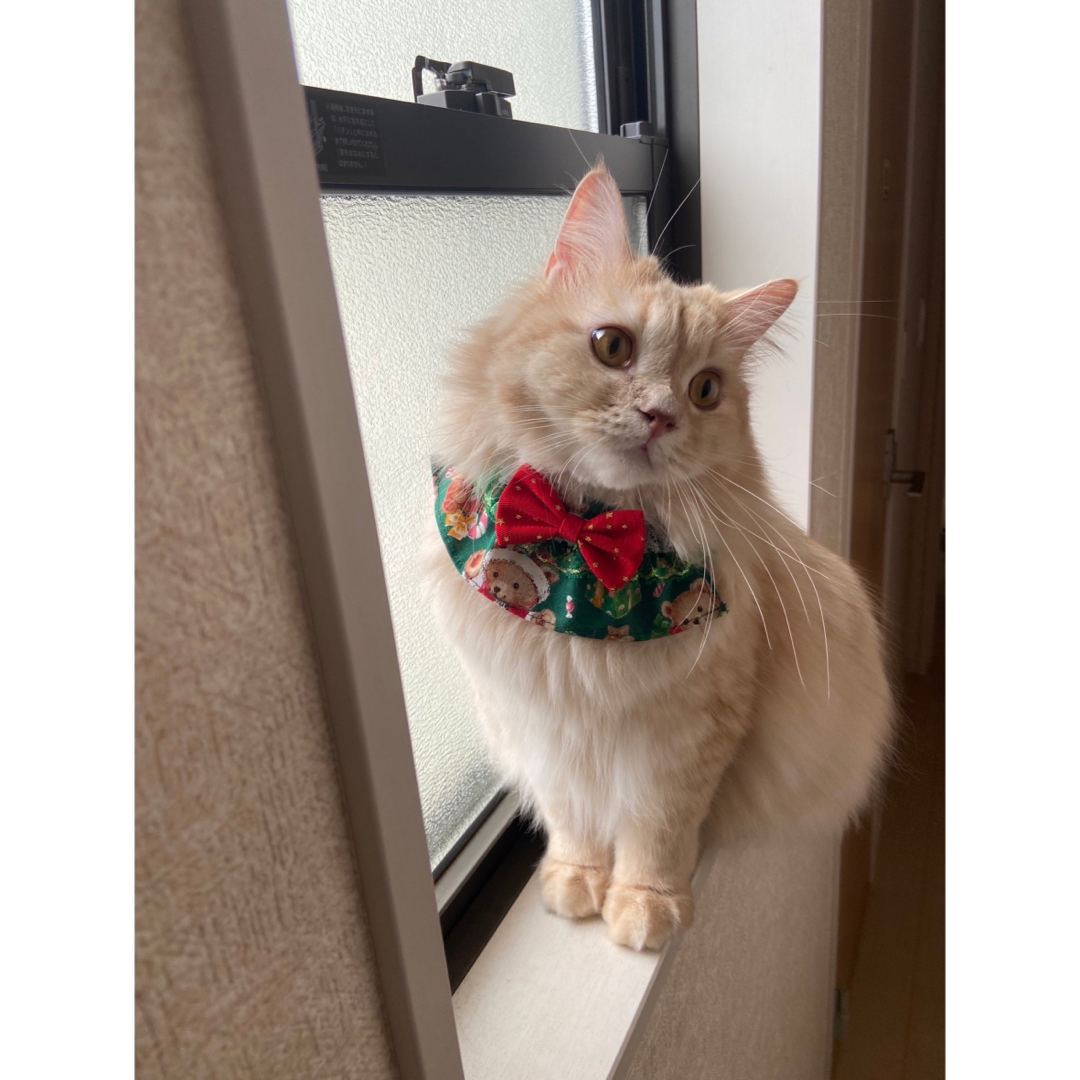 フレアスタイ(クリスマス 赤) 猫 首輪 セーフティバックル 可愛い