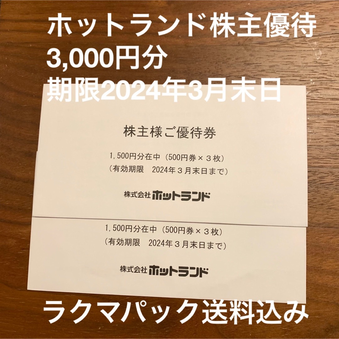 ホットランド株主優待券3,000円分　銀だこ　最新 チケットの優待券/割引券(フード/ドリンク券)の商品写真