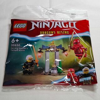 レゴ(Lego)のレゴ LEGO NINJAGO 30650 カイとプラトンのバトル ミニフィグ(キャラクターグッズ)