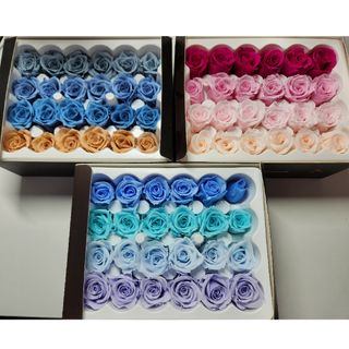 【美品】薔薇/プリザーブド(プリザーブドフラワー)