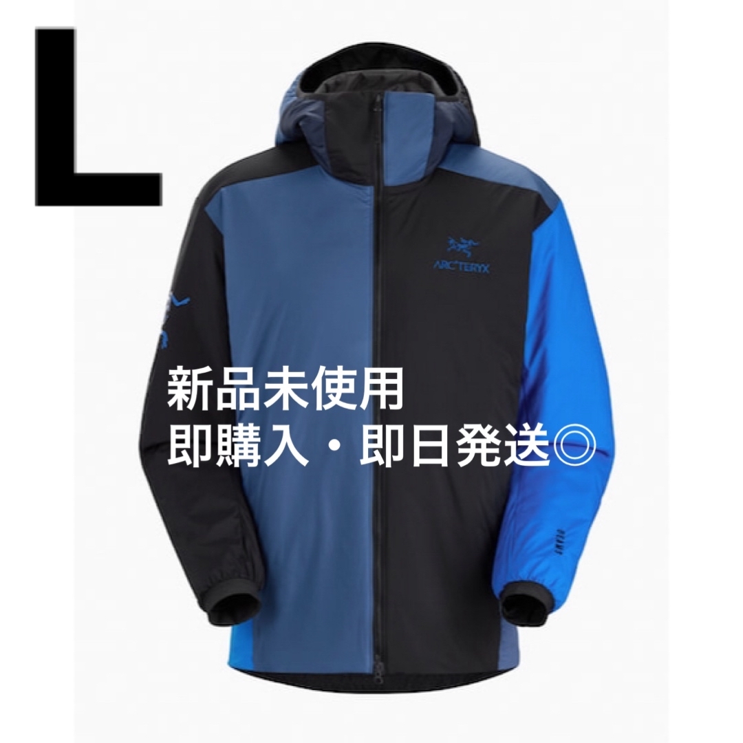 ARC'TERYX × BEAMS 別注 Atom LT Hoody Lサイズ